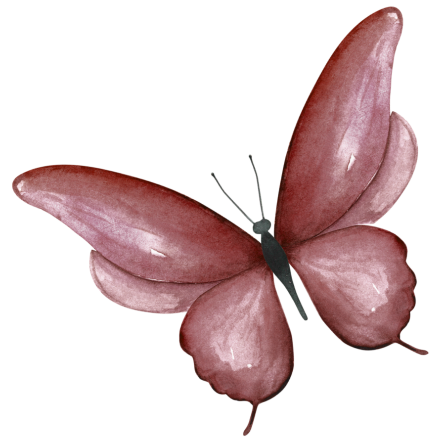 Kupu-kupu